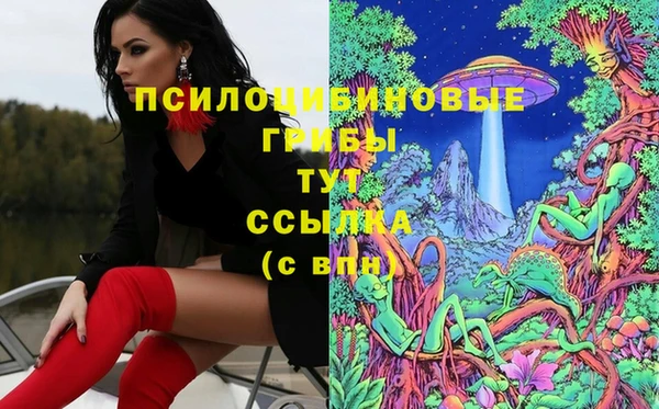 таблы Карпинск
