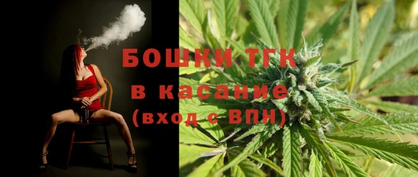 мдпв Касимов